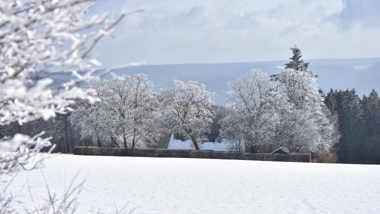 Eine verschneite Landschaft mit üppigen, frostbedeckten Bäumen. Der Himmel ist klar und es ist eine ruhige, winterliche Atmosphäre.