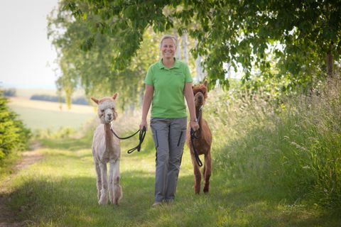 Eine Frau führt zwei kleine Ponys auf einem grünen Weg. Die Umgebung ist sonnig und von Bäumen gesäumt.