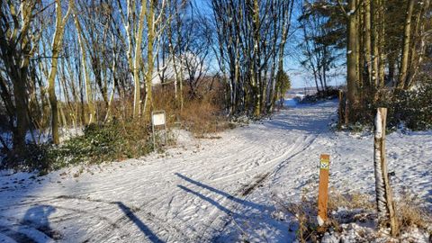 Zwei Wanderer gehen auf einem Pfad durch einen Wald. Neben dem Weg fließt ein kleiner Bach.
