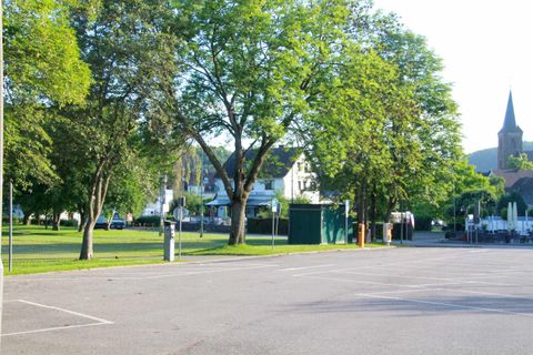 Ein ruhiger Park mit großen Bäumen und einem klaren Himmel. Im Hintergrund sind einige Gebäude und ein Kirchturm zu sehen.