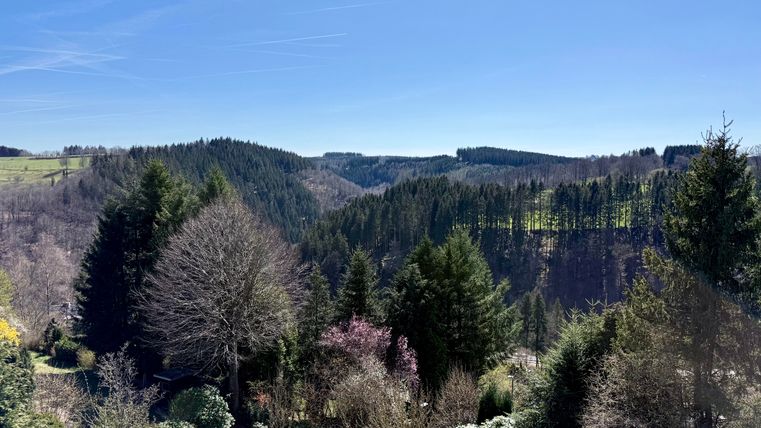 Eine malerische Landschaft mit grünen Hügeln und dichten Wäldern unter einem klaren blauen Himmel. Im Vordergrund sind verschiedene Bäume und Sträucher zu sehen.