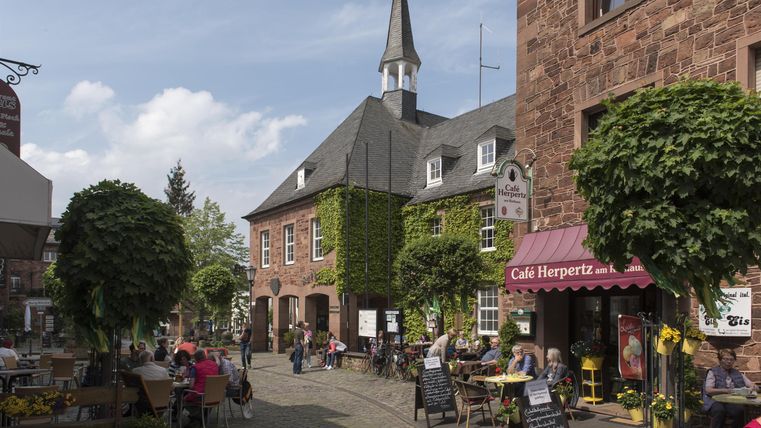 Ein malerischer Platz mit mehreren Bäumen und gemütlichen Cafés. Menschen sitzen draußen und genießen die Atmosphäre.