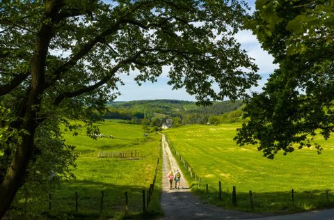 Zwei Wanderer gehen auf einem Pfad durch einen Wald. Neben dem Weg fließt ein kleiner Bach, und die Sonne scheint durch die Bäume.