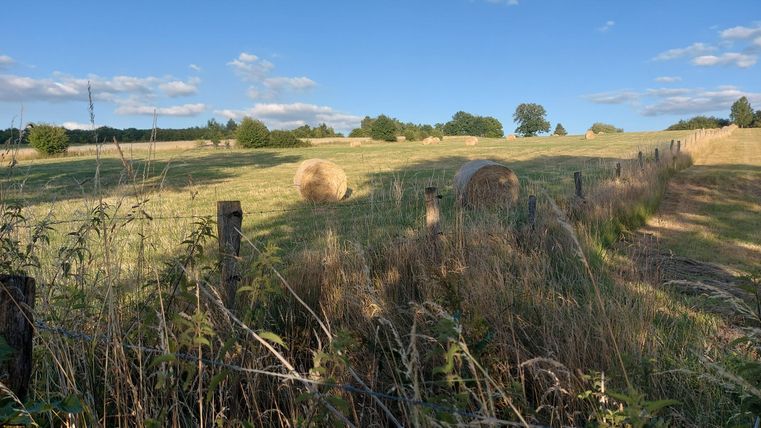 Eine weite Wiese mit Heuballen und vereinzelten Bäumen. Der Himmel ist blau mit einigen Wolken.