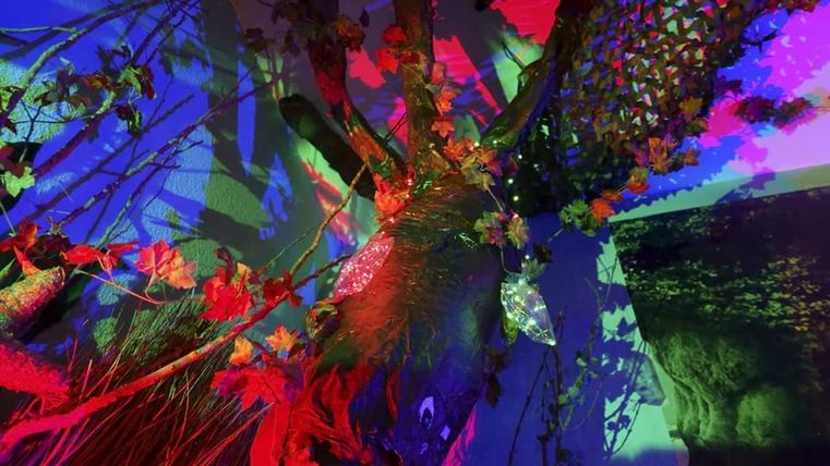 Ein kreatives Kunstwerk mit bunten Lichtern und Pflanzen. Die Farben reflektieren eindrucksvoll auf den Wänden.