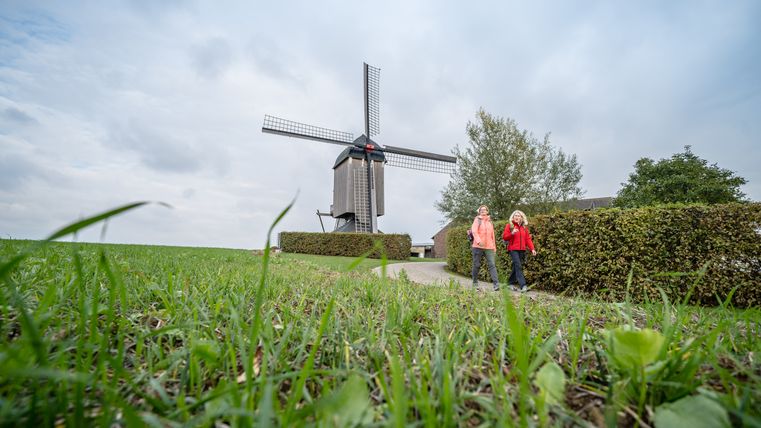 Zwei Wandererinnen auf dem Feld vor der Düppelsmühle in Titz. Die Düppelsmühle ist eine stillgelegte Bockwindmühle