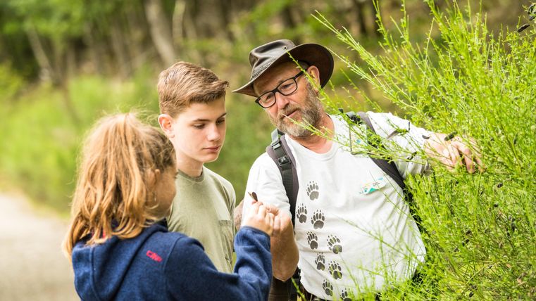 Eine Gruppe von drei Personen im Wald. Sie betrachten gemeinsam eine Pflanze und lernen etwas über die Natur.