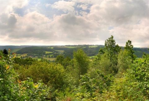 Eine malerische Landschaft mit grünen Bäumen und sanften Hügeln. Der Himmel ist bewölkt, was eine ruhige Atmosphäre schafft.
