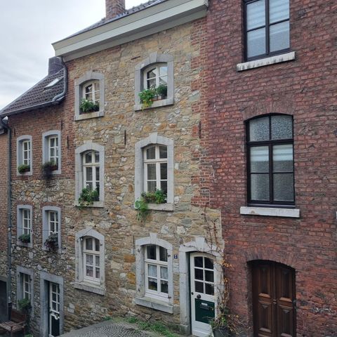 Historische Häuser aus Stein und Ziegel mit Fenstern und Pflanzen sind zu sehen. Die charmante Architektur strahlt einen nostalgischen Charakter aus.