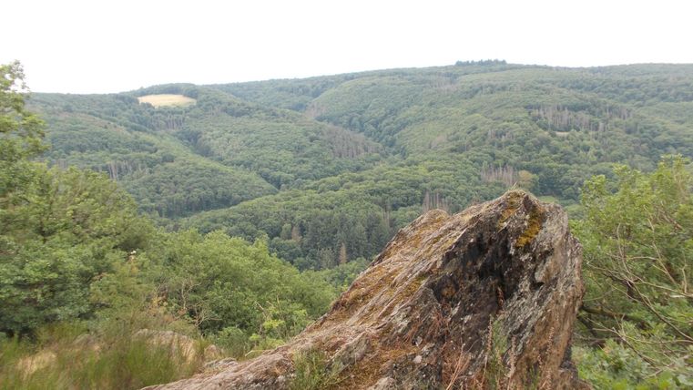 Eine beeindruckende Landschaft mit sanften Hügeln und üppigen Wäldern. Im Vordergrund ist ein großer Felsen zu sehen.