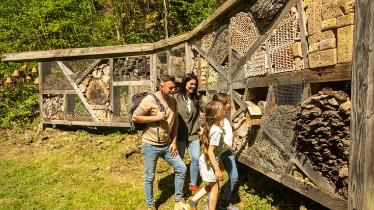 Eine Familie erkundet ein Insektenhotel im Freien. Es besteht aus verschiedenen natürlichen Materialien und befindet sich in einer grünen Umgebung.
