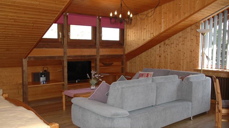 Ein gemütliches Wohnzimmer mit Holzverkleidung und schrägen Wänden. Es gibt ein graues Sofa, einen Fernseher und große Fenster, die Licht hereinlassen.
