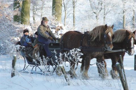 Eine Winterlandschaft mit Schnee und Bäumen. Eine Pferdeschlittenfahrt mit Passagieren zieht durch die verschneite Umgebung.