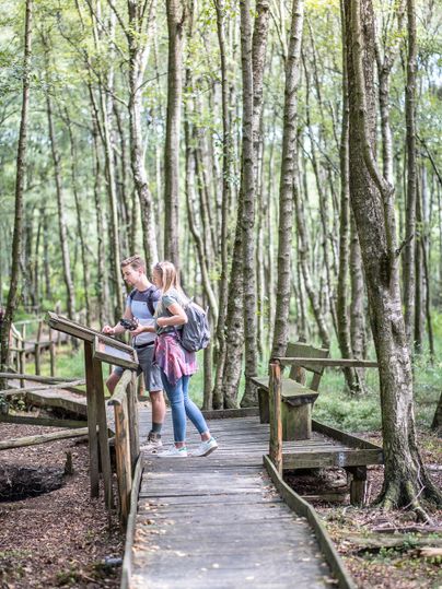 Wandern im Todtenbruch in der Rureifel