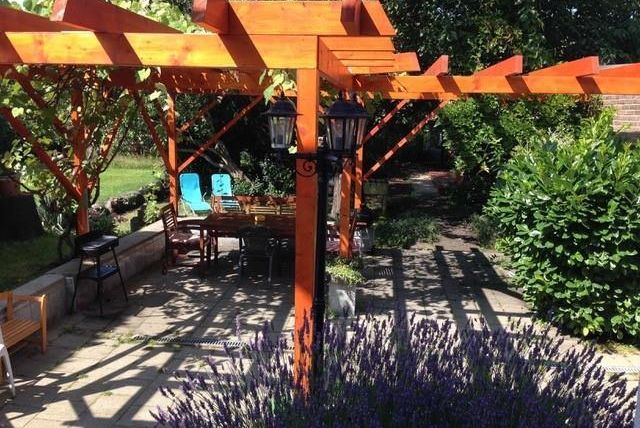 Ein angenehmer Gartenbereich mit einer Holzkonstruktion und Lichtern. Umgeben von grünen Pflanzen und duftendem Lavendel.