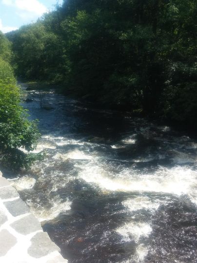 Ein ruhiger Fluss mit schäumenden Wellen fließt durch eine grüne Landschaft. Verkäufliche Bäume umgeben das Gewässer und himmelblaue Stelle blitzen durch die Blätter.