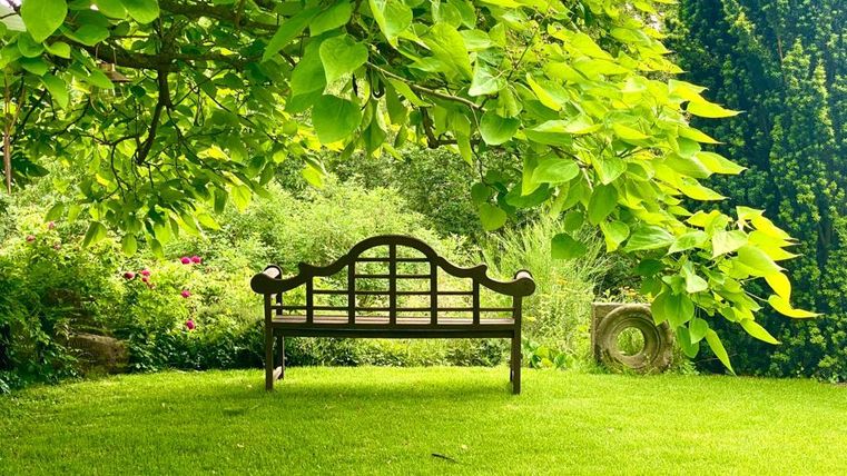 Eine Holzbank steht auf einer grünen Wiese unter einem großen Baum. Umgeben von üppigem Grün und bunten Blumen bietet der Platz eine einladende Atmosphäre.