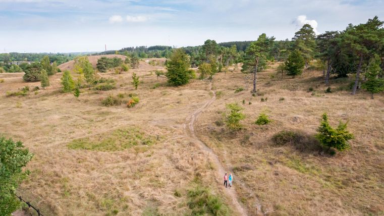 Eine weite, grüne Landschaft mit vereinzelten Bäumen und einem schmalen Pfad. Zwei Personen gehen entlang des Pfades in der Natur.
