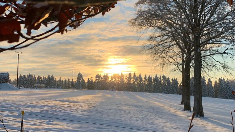 Eine Winterlandschaft mit schneebedecktem Feld und Bäumen. Die Sonne geht hinter dem Horizont auf und der Himmel ist leicht bewölkt.