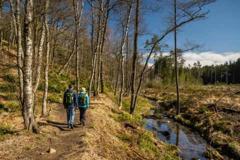 Zwei Wanderer gehen einen Pfad entlang eines Baches in einem Wald. Die Umgebung ist grün mit Bäumen und klarem Himmel.