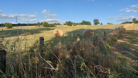 Eine grüne Wiese mit Heuballen und einem blauen Himmel. Ein Zaun und einige Bäume sind im Hintergrund sichtbar.