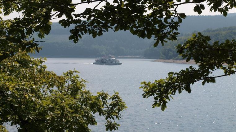 Ein ruhiger See, umrahmt von Bäumen, mit einem kleinen Boot auf dem Wasser. Die Landschaft ist friedlich und die Sonne spiegelt sich auf der Oberfläche.