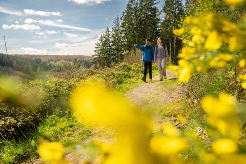 Zwei Wanderer gehen einen Pfad durch einen bewaldeten Bereich. Neben dem Weg fließt ein kleiner Bach.