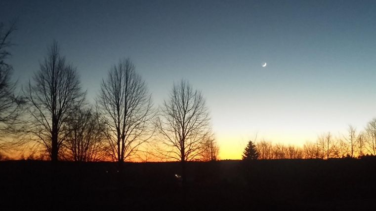 Ein schöner Sonnenuntergang mit einem klaren Himmel und silhouettierten Bäumen im Vordergrund. Der Mond ist am Himmel sichtbar.