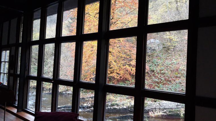 Ein Blick durch große Fenster auf einen Fluss und bunte Herbstbäume. Die Natur im Hintergrund harmoniert mit dem gemütlichen Innenraum.