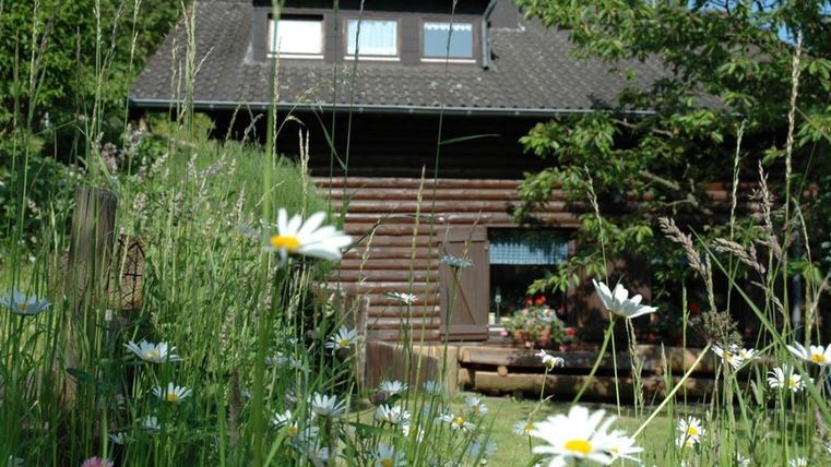 Ein gemütliches Holzhaus umgeben von grünen Wiesen und bunten Blumen. Die Umgebung ist friedlich und naturbelassen.