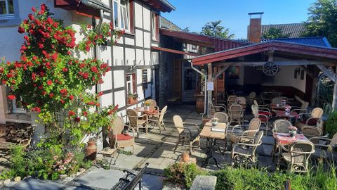 Ein einladender Außenbereich eines Restaurants mit Tischen und Stühlen. Umgeben von grünen Pflanzen und einer blühenden Strauchsorte.