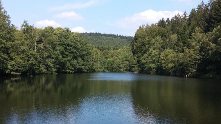 Ein ruhiger See, umgeben von dichten Bäumen. Der Himmel ist blau mit einigen Wolken.