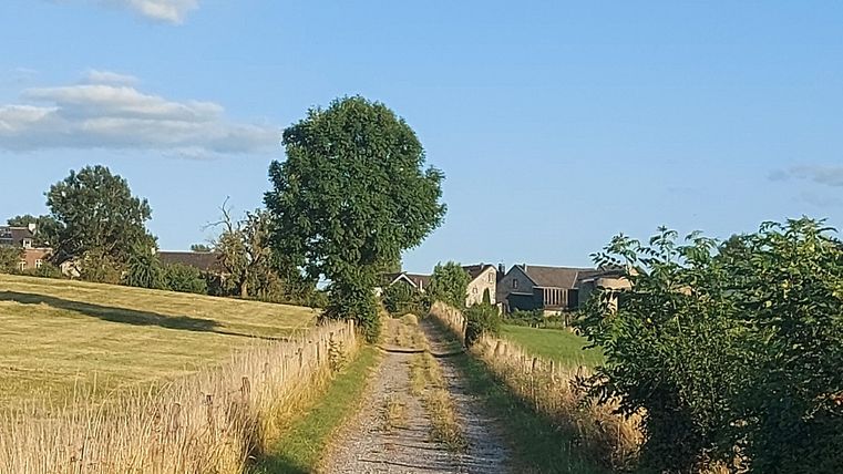Ein schmaler Weg führt durch eine ländliche Gegend mit grünen Wiesen und Bäumen. Der Himmel ist klar und blau.