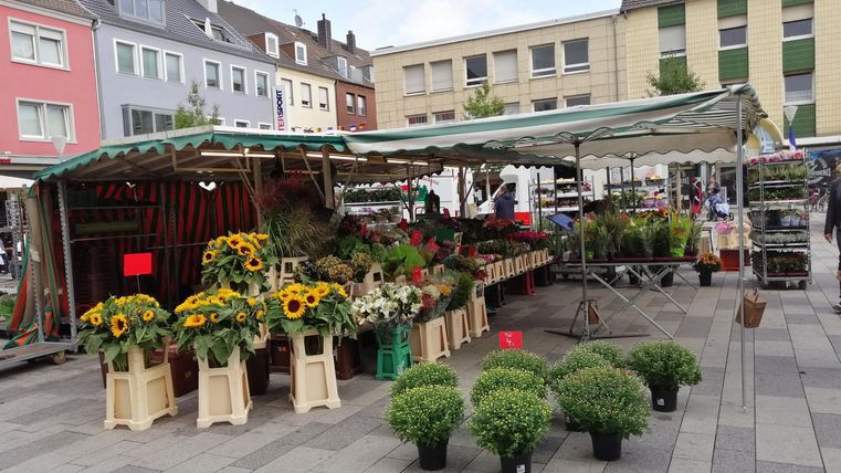 Ein bunter Marktstand mit verschiedenen Blumen und Pflanzen steht auf einem Platz. Im Hintergrund sind Gebäude in sanften Farben zu sehen.