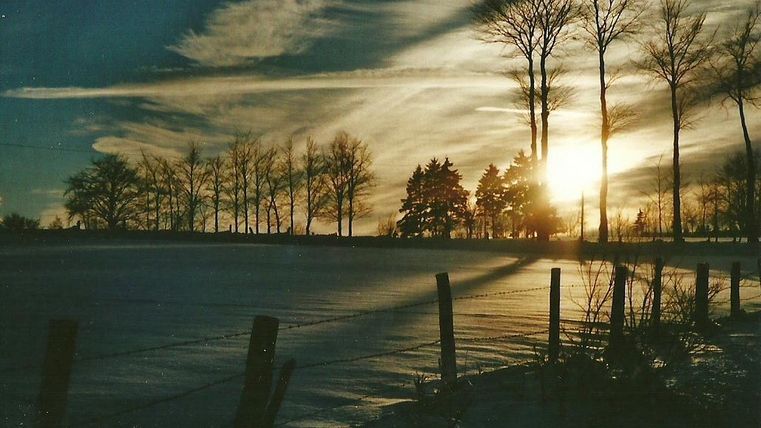 Ein winterlicher Sonnenuntergang über einer verschneiten Landschaft. Silhouetten von Bäumen und ein sanfter Schattenwurf ergänzen die Szene.