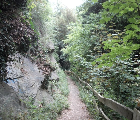 Wanderpfad, © Eifel heimisch