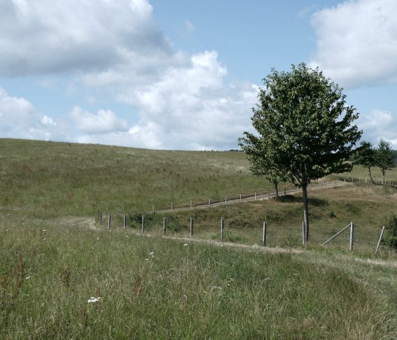 Wiesenweg, © Eifel heimisch