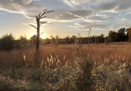 Abendstimmung Oktober (co) Thei&szlig;en-Braun