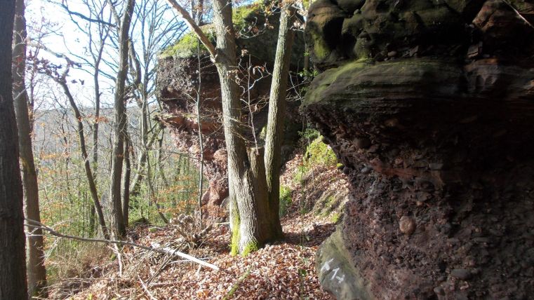 Ein schmaler Waldweg mit schroffen Felsen und herbstlichem Laub. Einige Bäume stehen in der Nähe der Felsen.