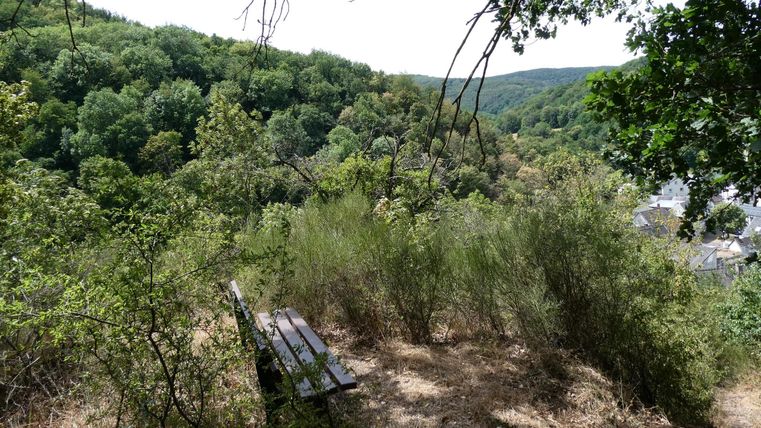 Eine ruhige Bank steht in der Natur, umgeben von Bäumen und Sträuchern. Im Hintergrund sind sanfte Hügel und ein klarer Himmel sichtbar.