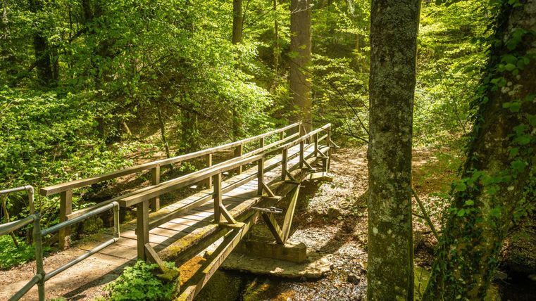 Eine Holzbrücke führt über einen kleinen Bach in einem dichten, grünen Wald. Sonnenlicht durchdringt das Blätterdach und schafft eine friedliche Atmosphäre.