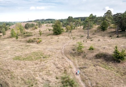 Schlangenberg, &copy; Eifel Tourismus GmbH, AR-shapefruitAG