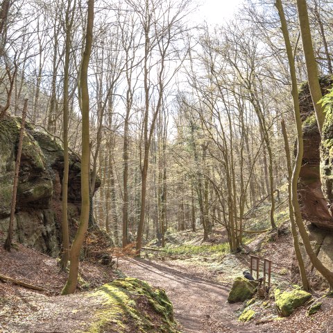 Entdeckungspfad Nideggen - Sch&uuml;dderfeld, &copy; Rureifel Tourismus GmbH, Jacqueline Niedermeier