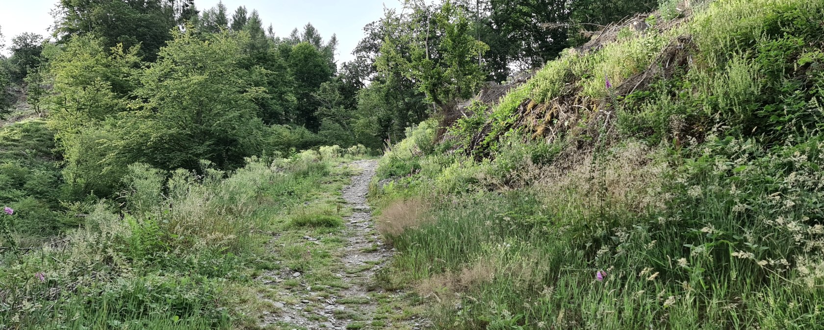 On mysterious paths