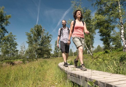 Holzstege &uuml;ber Moorfl&auml;chen, &copy; Eifel Tourismus, Dominik Ketz