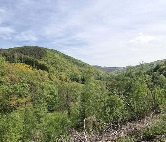 View of the countryside, © Rureifel-Tourismus e.V.