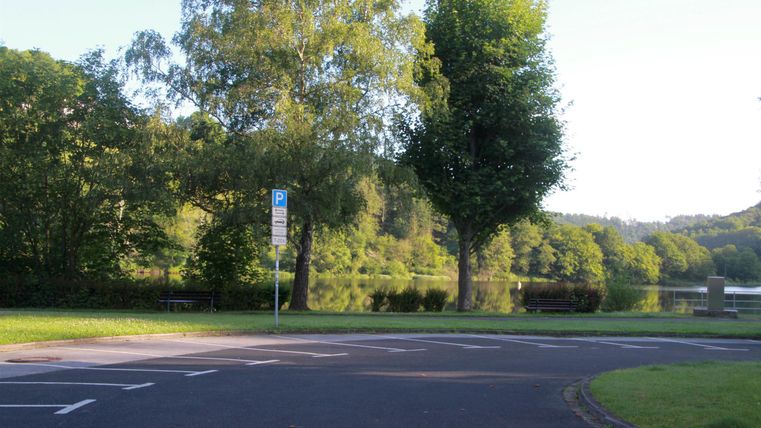 Eine ruhige Parklandschaft mit grünen Bäumen und einer sanften Fahrbahn. Im Hintergrund ist ein See zu sehen, der die Natur reflektiert.