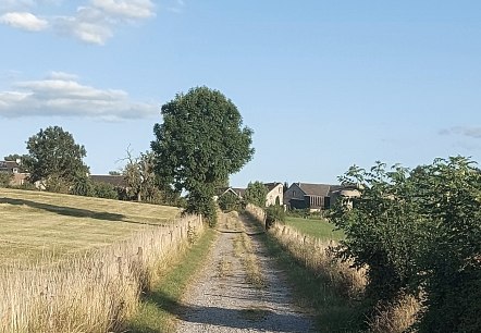 Sommerweg Krauthausen H&auml;user Juli-August (co) Thei