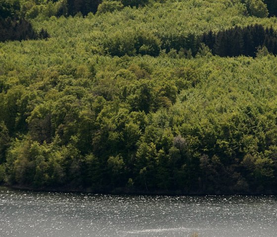 kleine Insel im See, &copy; A. Baumbach