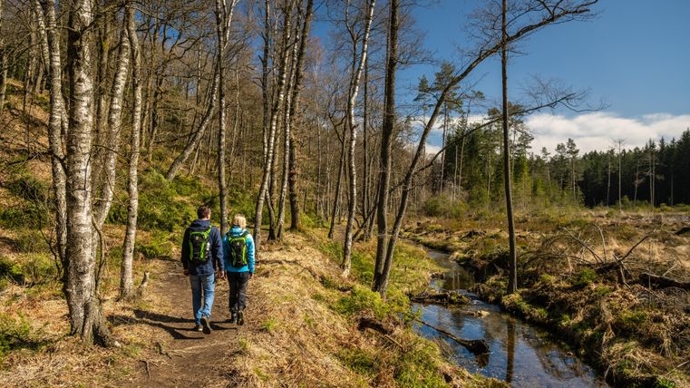 Zwei Wanderer gehen einen Pfad entlang durch einen Wald. Neben dem Weg fließt ein kleiner Bach und die Sonne scheint.